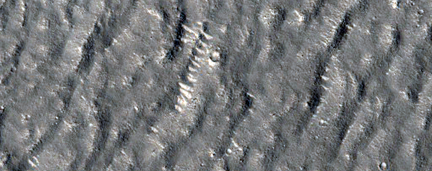 Diverse Utopia Planitia Landforms