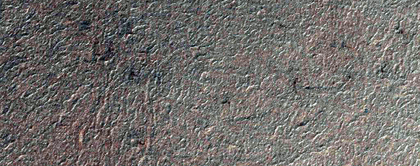 Looking For Gullies