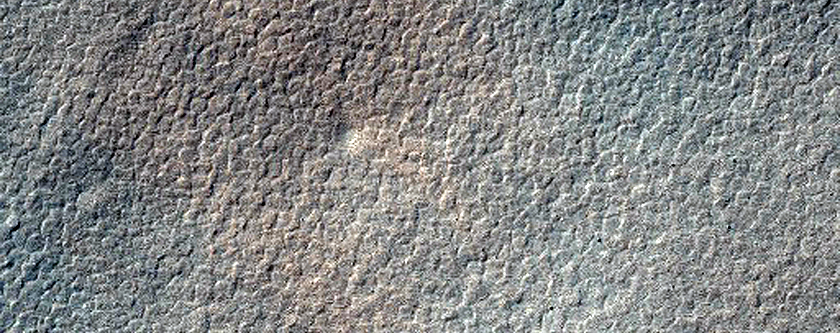 Dust Devil Tracks and Scratch Marks