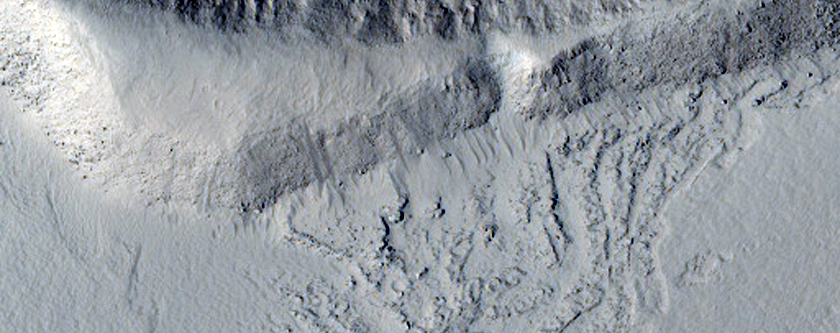 Survey of Marte Vallis