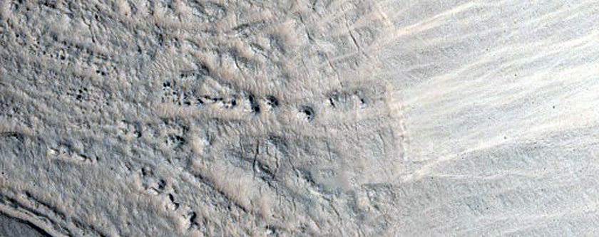 Gullies in Utopia Planitia