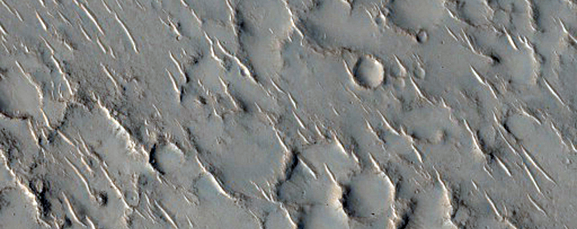 Chains of Cones in Isidis Planitia
