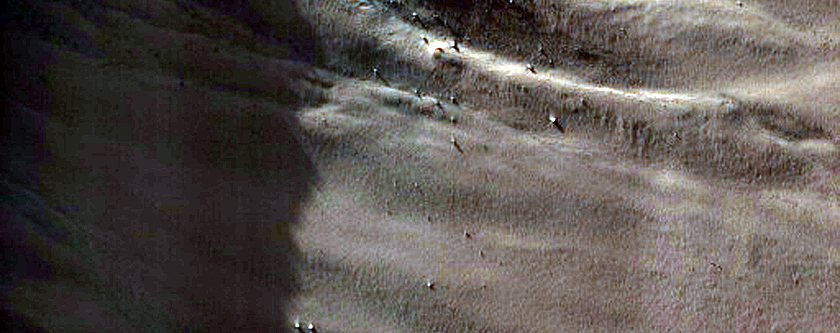Cover 4 Gullies Previously Identified in South-Facing Wall of Ridge