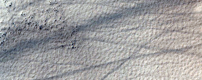 Year-Round Monitor Site of Dark Filamentary Streak in Noachis Region
