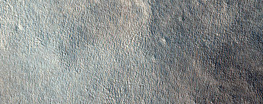 Sample of Amazonis Planitia