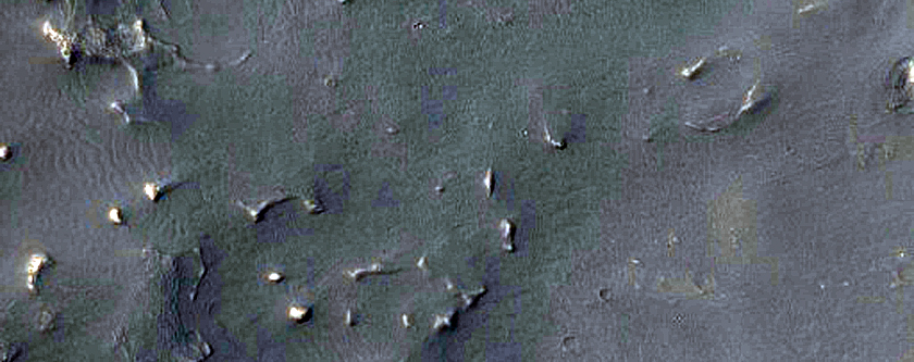 Looking For Gullies