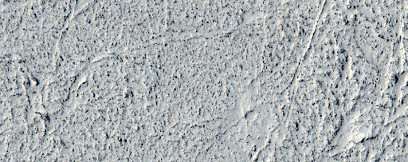 Southern Margin of Flood Lavas in Elysium Planitia