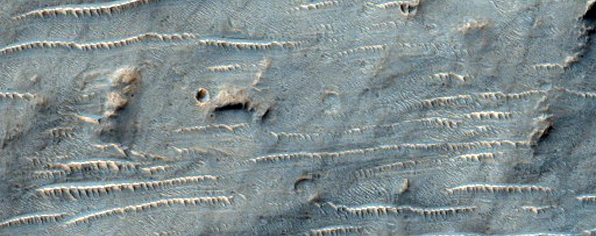 Tyrrhena Terra