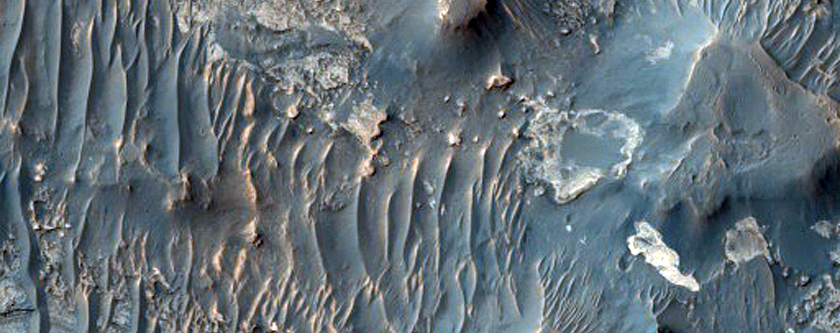 Possible Hydrated Phases in Ius Chasma