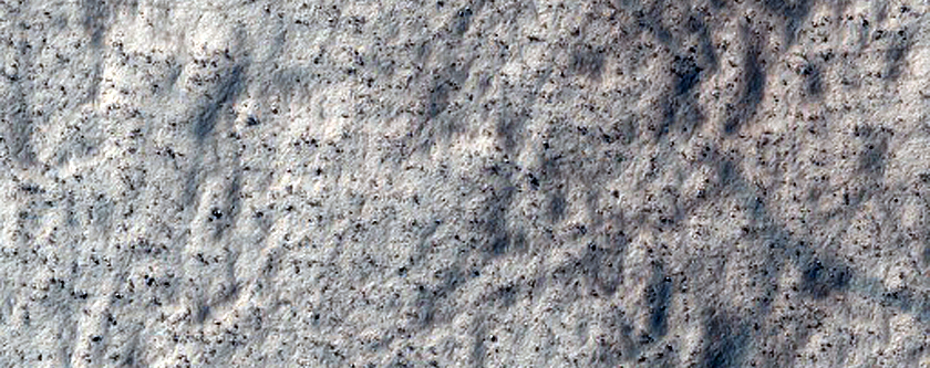 Floor of Secchi Crater