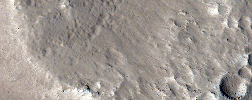 Monitoring of Dark Slope Streaks