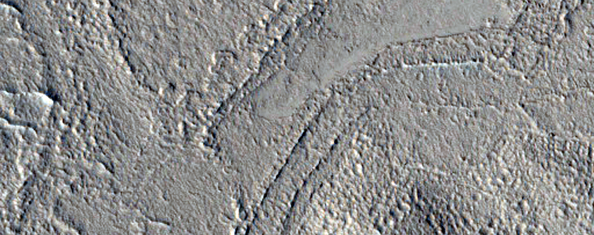 Region of Enigmatic Flows of the Western Margin of Amazonis Planitia