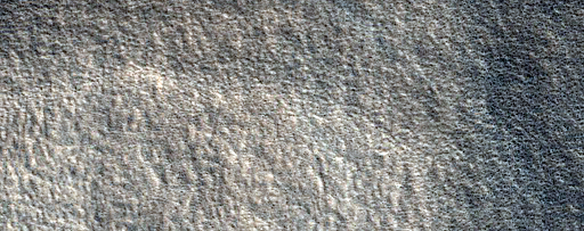Sample Northern Plains