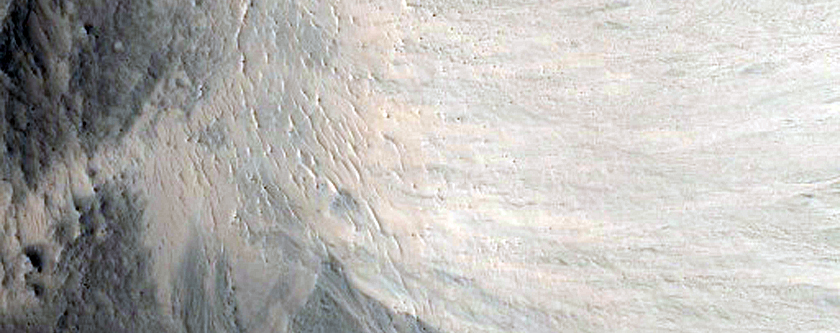 Bright Gully Deposits in A Fresh Impact Crater