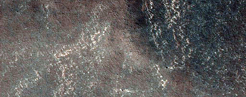 Sample Low Elliptical Mesa with Rough Surface