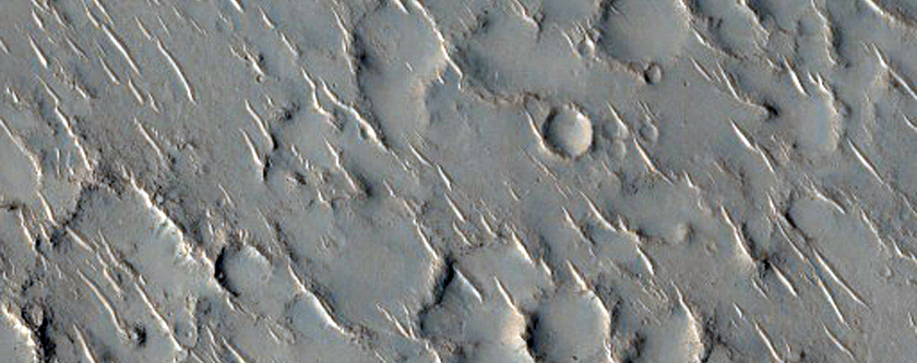 Chains of Cones in Isidis Planitia