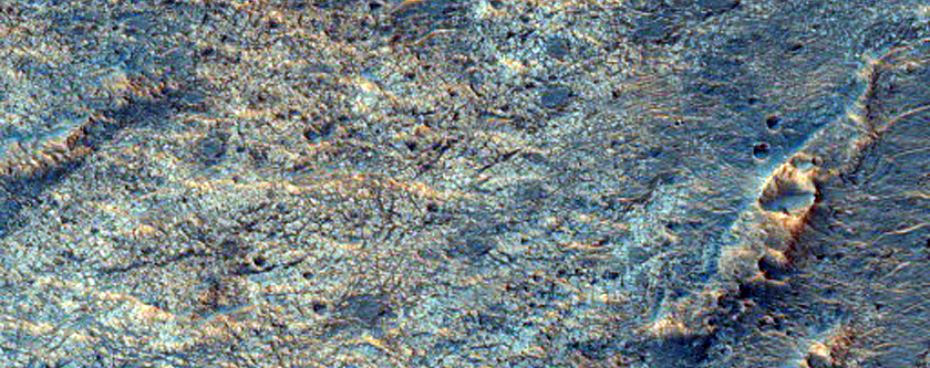 Mawrth Vallis Phyllosilicates