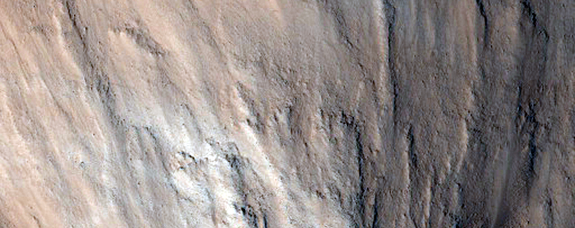 Sample South Wall of Olympus Mons Caldera