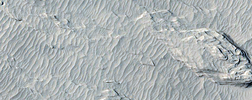 Fresh Impact Crater on the Southern Edge of Elysium Planitia