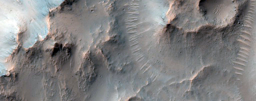 Unnamed Well-Preserved Crater in Terra Cimmeria