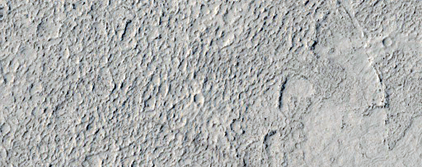 Lava Flow Contacts in Eastern Elysium Planitia