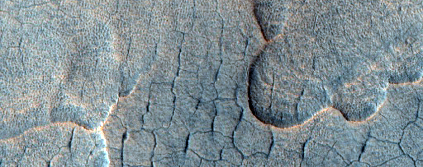 Scallops and Polygons in the Utopia Planitia