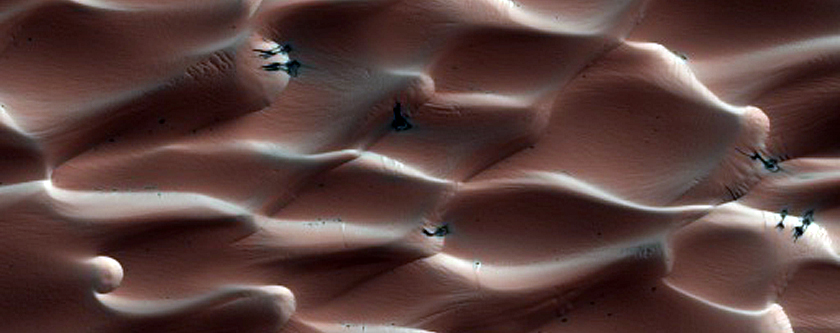 Defrosting Northern Dunes