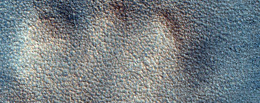 Polygonal Texture
