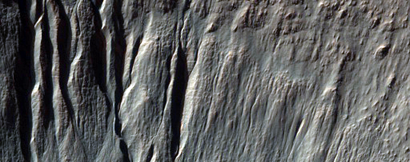 Gullies in Crater as Seen in MOC Image S16-02714