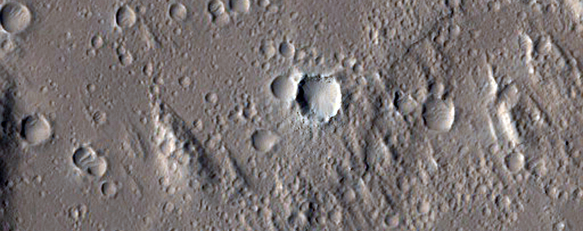 Northwest Edge of Lycus Sulci Ridged Terrain