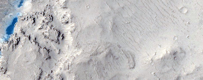 Dissected Wrinkle Ridge Surrounded by Viscous Flows in Elysium Planitia