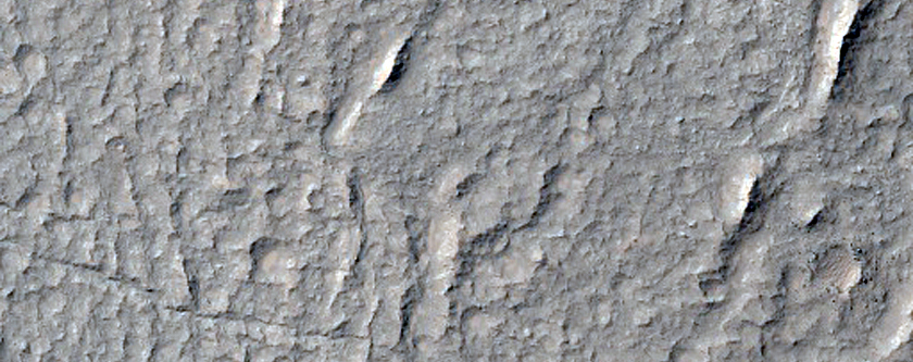 Interior of Crater in Terra Sirenum