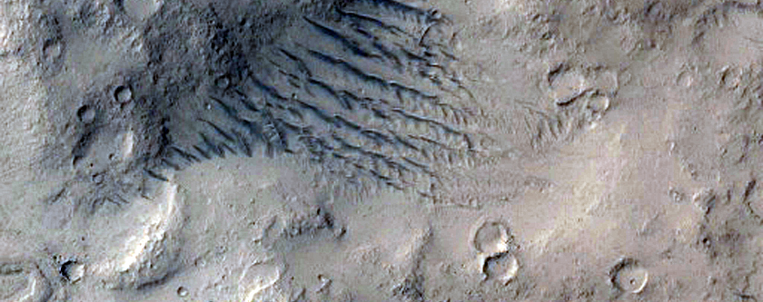 Embayed Rampart Crater in Southern Elysium Planitia