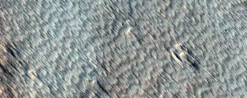 New Dark Spot Formed between February 2003 and May 2003