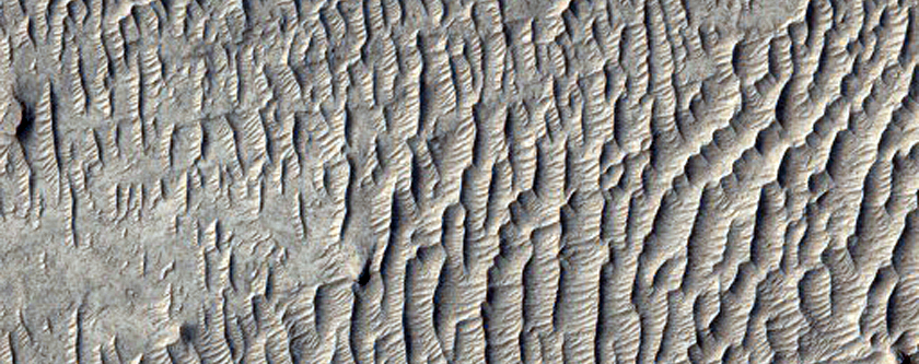 Sinuous Ridge in Aeolis Region