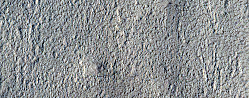 Search for Possible Phyllosilicates in Crater Near Mamers Vallis