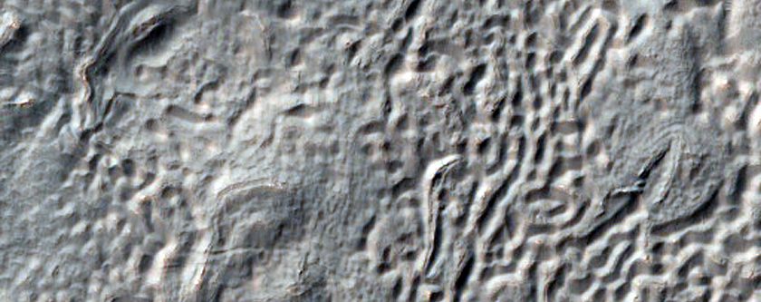 Southern Mid-Latitude Crater with Gullies and Dissected Mantle Terrain