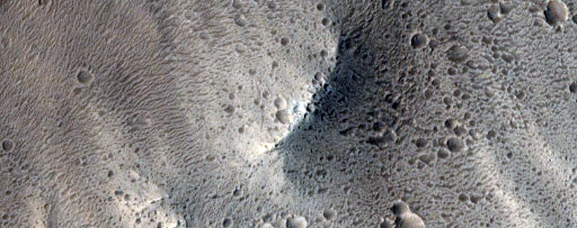 Lycus Sulci
