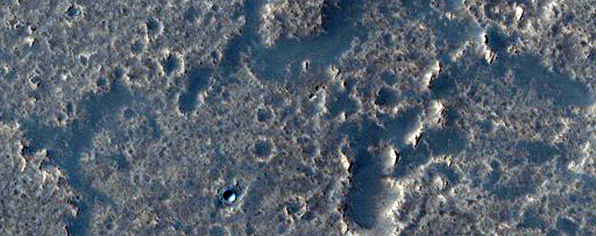 Daedalia Planum