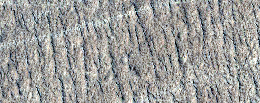 Dusty Region in Northeast Amazonis Planitia