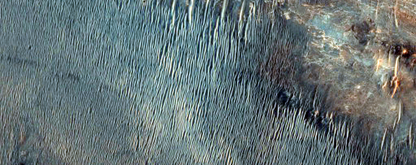 Nili Fossae Trough