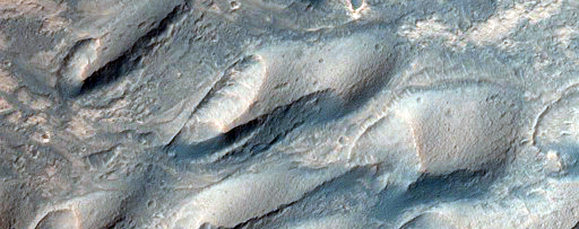 Dark Dune-Like Forms in Southern Melas Chasma