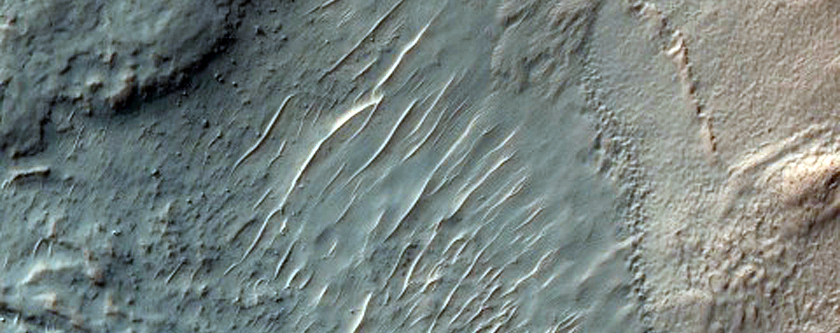 Multiple-Lobed Fan or Apron at Gully Terminus Seen in MOC Image S20-01767