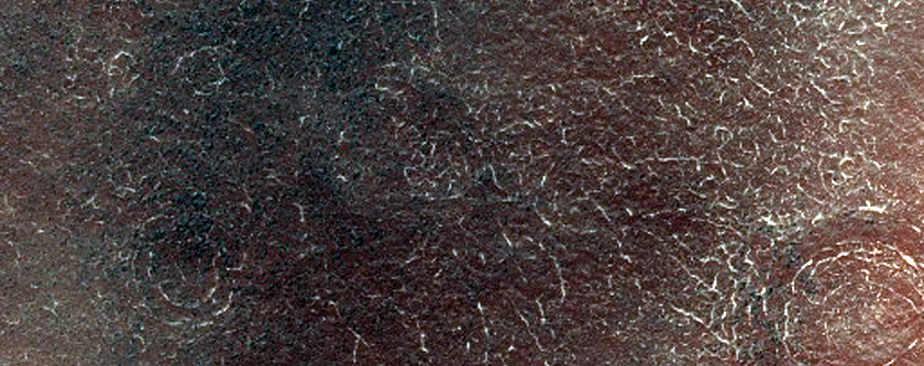 Patterned Ground