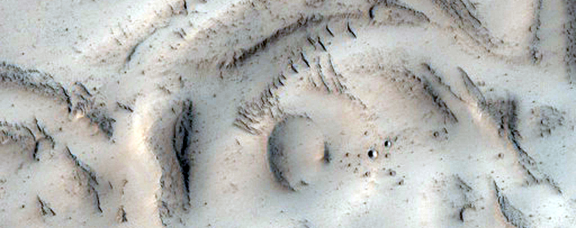 Cones and Pitted Material Inside An Embayed Crater in the Tartarus Montes