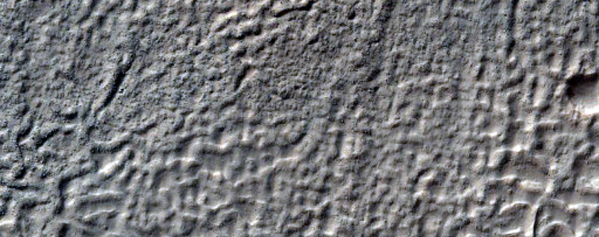 Looking for Gullies