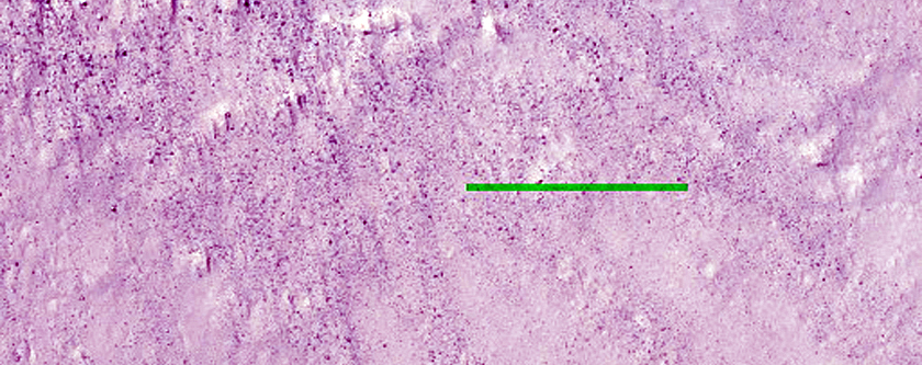Very Recent Impact Crater