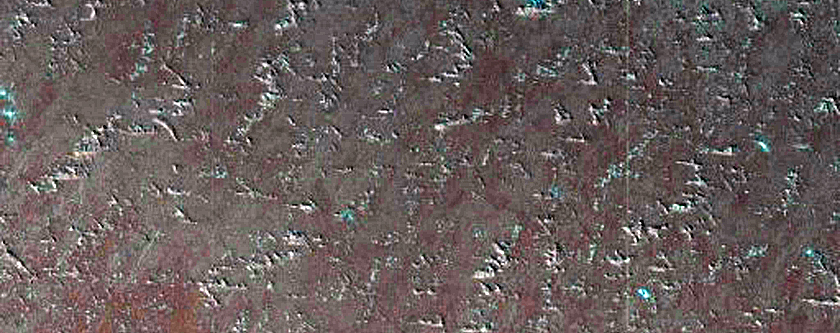 Polar Terrain