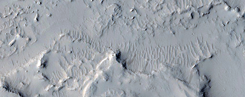 Strange Circular Feature in Amazonis Planitia