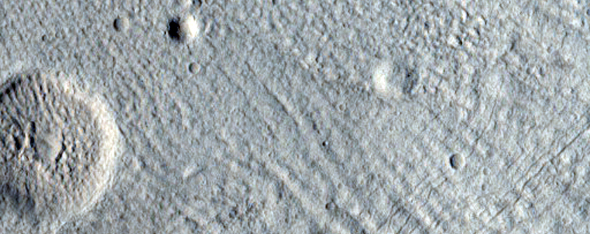 Looking for Gullies
